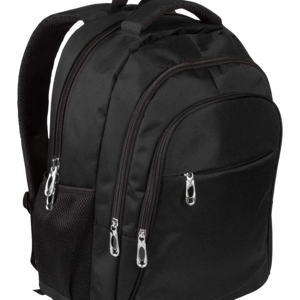 Laptop Backpack with Padded Pocket