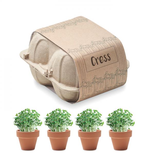 CRESS Growing Kit with 4 Terracotta Pots and Cress Seeds