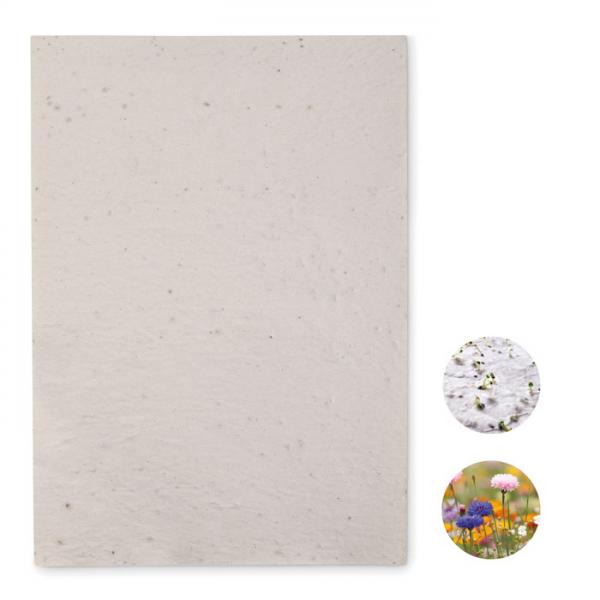 ASIDI A4 Wildflower Seed Paper Sheet, 80 gsm, Recycled, EU-Made