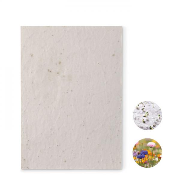 ASIDE A5 Wildflower Seed Paper Sheet, 80 gsm, Recycled, EU-Made