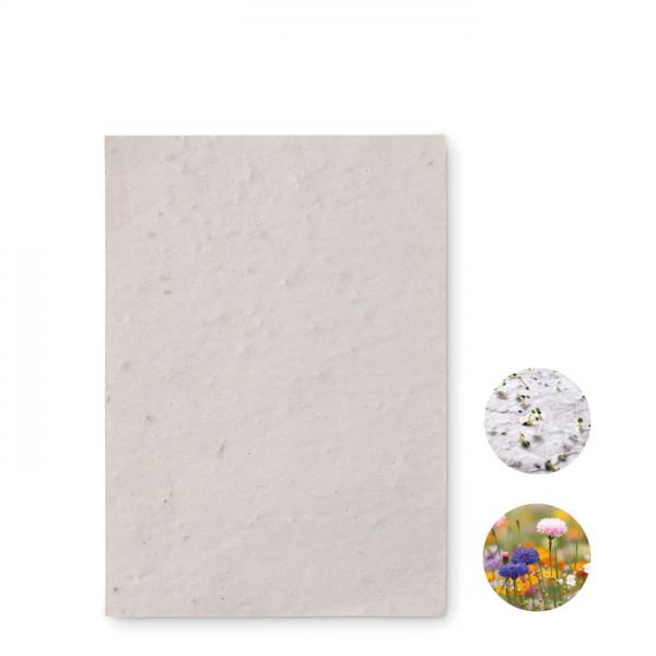 ASIDO A6 Wildflower Seed Paper Sheet, 80 gsm, Recycled, EU-Made